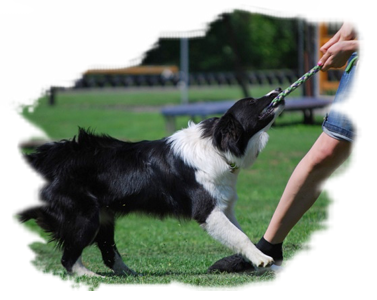 huzakodós játék huzakodós játék